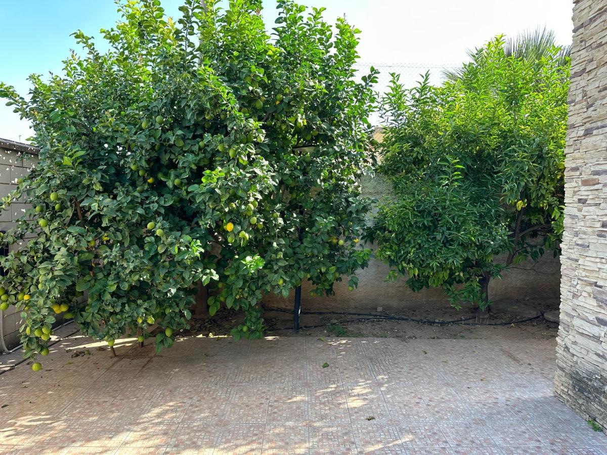 Vallada Casa Peseta, Casa Rural מראה חיצוני תמונה